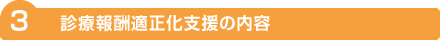 診療報酬適正化支援の内容